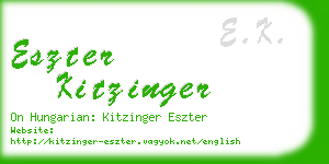 eszter kitzinger business card